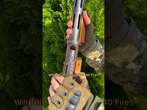 Restored PPD-40: Will it Fire? #guns #cats