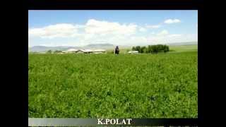 preview picture of video 'YONCALI BELDESİ. SON GÖRÜNÜMLERLE YONCALI'MIZ--.02.06.2012.mp4'