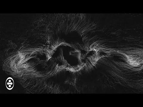 Tom Colontonio - Maximizer | Tranceportal