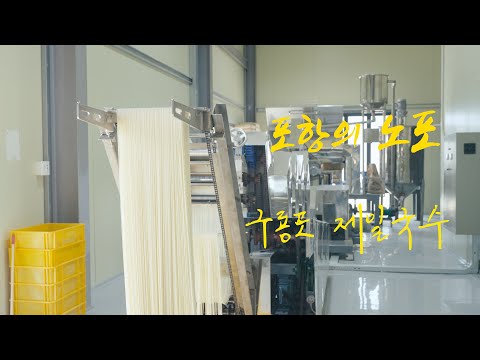 [4K] 포항의 노포 - 제일국수