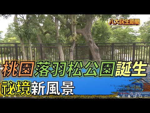 Un nuevo paisaje de Qijing: el nacimiento del parque Taoyuan Lochipin | [Folk Life Happoji] | 2022060608 @gtvnews27