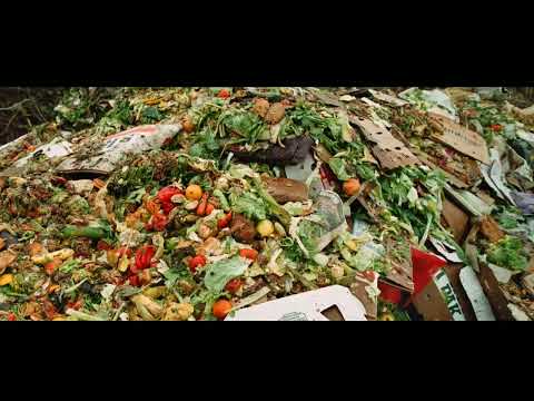 150 Kg Food Waste Composting Machine