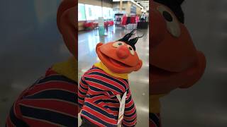 📺🌈 Sesame Street Ernie collectible hand puppet vintage toy #goldhunter137