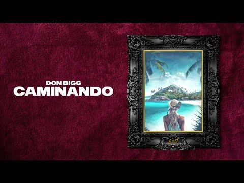 DON BIGG - Caminando | Official Lyric Video (Clean Version)