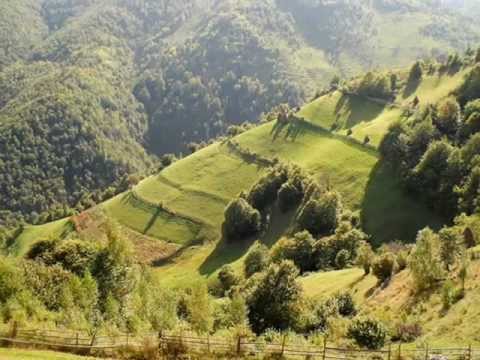 SĂRACĂ IRIMA MEA!