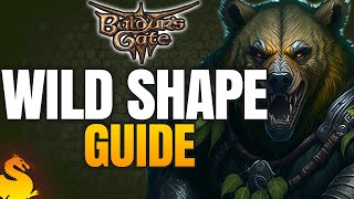 WILD SHAPE Basic & Advanced Guide - BALDUR'S GATE 3