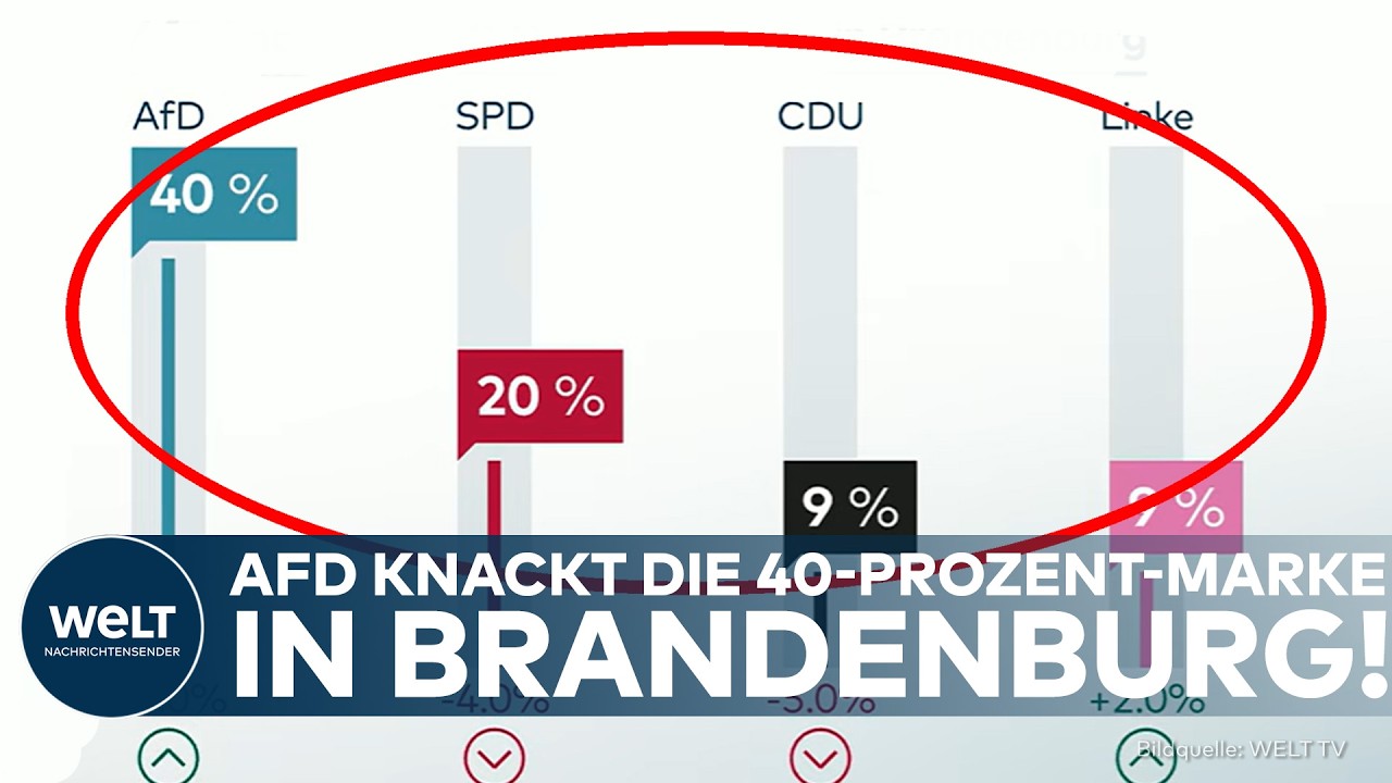BEBEN IM OSTEN: AfD erreicht 40 Prozent in Brandenburg! SPD und Union verlieren massiv an Boden!