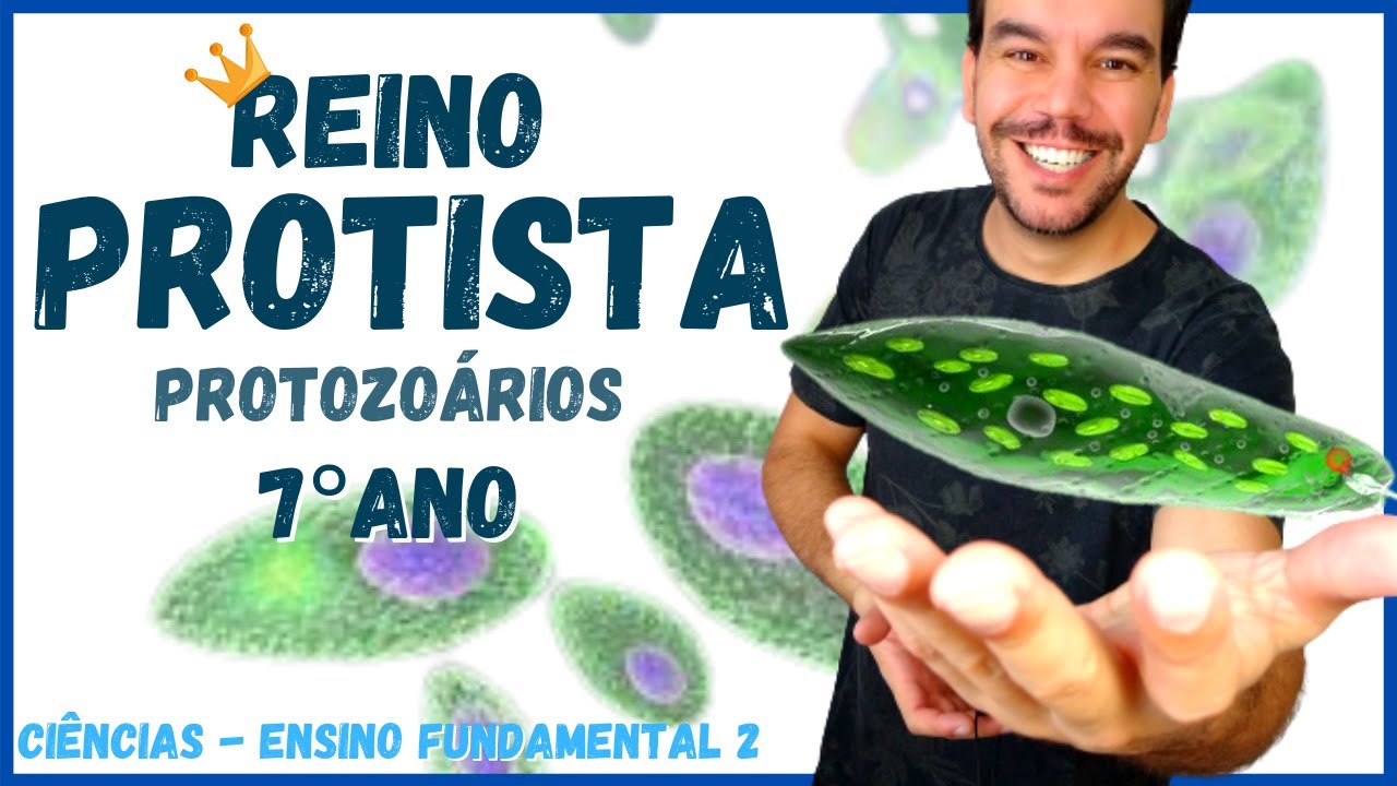 Aula REINO PROTISTA (Protoctista) - Protozoários - 7° ano | Ciências - 2021 | Resumo - Fund. 2