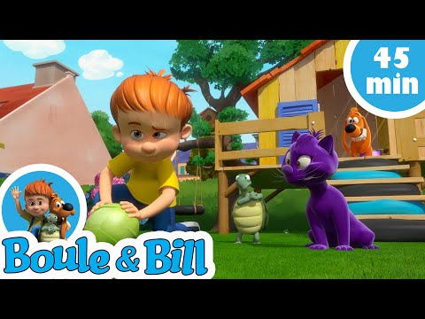 🐢 Boule, Bill et leur meilleure amie Caroline 😊 - Nouvelle compilation Boule et Bill FR