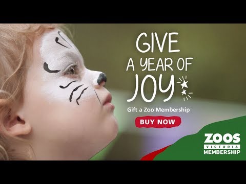 Gift A Zoo Membership