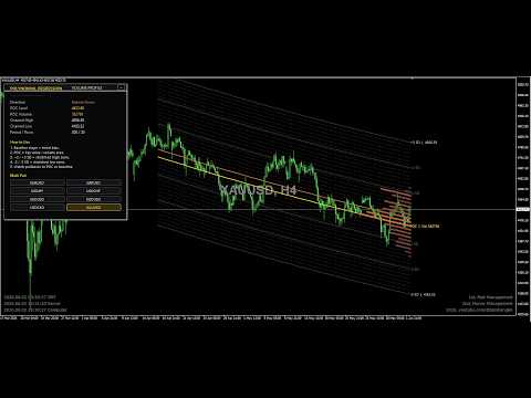 Video Polynomial Regression