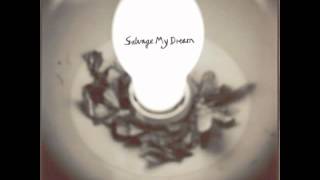 Salvage My Dream - Your Runaway Clothes And The Dying Diamonds of Your Mind