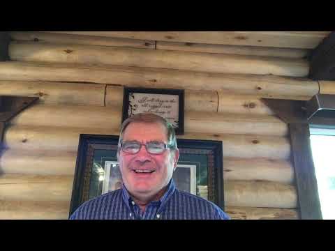 Restoration of the Bride Tree