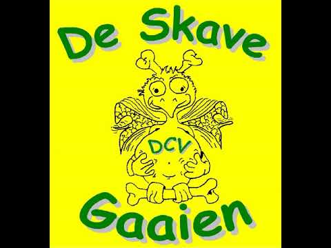 D.C.V. De Skave Gaaien - Ne romoin