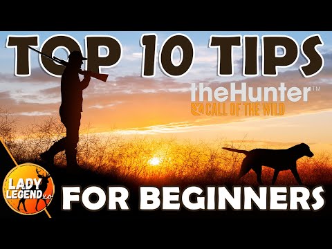 Top 10 TIPS & TRICKS for BEGINNERS 2024/25!!! - Call of the Wild