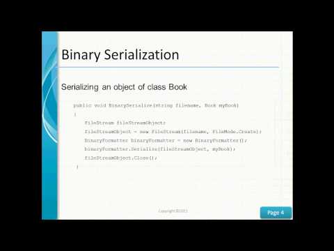Binary Serialization