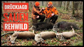 DRÜCKJAGD 2025 auf SAUEN REHWILD &amp; RAUBWILD | Achtung überall Rehe | SCHWARZWALDHUNTERS