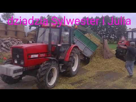 GR Wawrowski kukurydza 2018