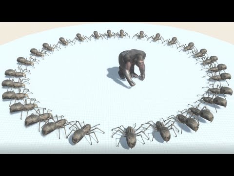 Every Unit surrounded by SABER TOOTHED SPIDERS - Animal Revolt Battle Simulator