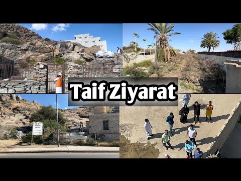 Taif Ziyarat | Grape Graden | Ali mosque | Struggle Story in Taif Saudi Arabia/ Mudhon Mosjid