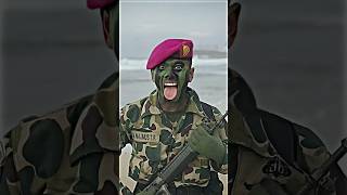 Download lagu Story'wa Keren Marinir TNI AL #shorts #storywa #abdinegara #tni #marinir #tnial #shortvideo mp3