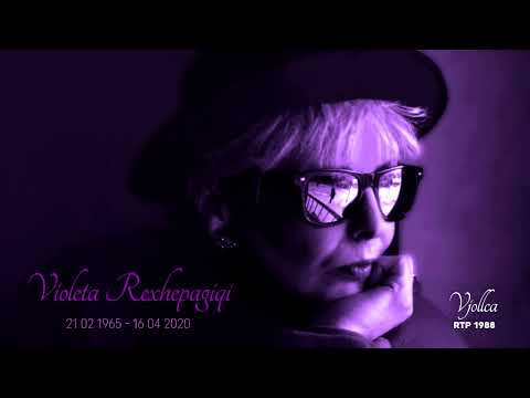Violeta Rexhepagiqi   VJOLLCAT   1988