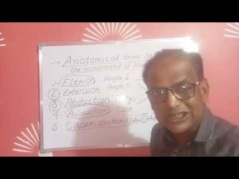 HUMAN GENERAL ANATOMY PART-4 BY DR(PROFESSOR) JAMAL AKHTAR