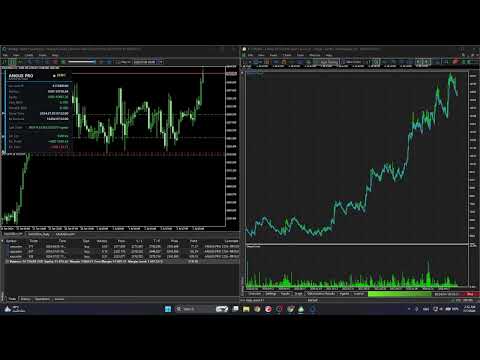 Video Angus xauusd pro trend