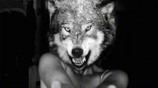 Cover art for cant handle mink