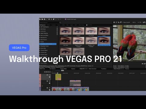 Walkthrough VEGAS Pro 21