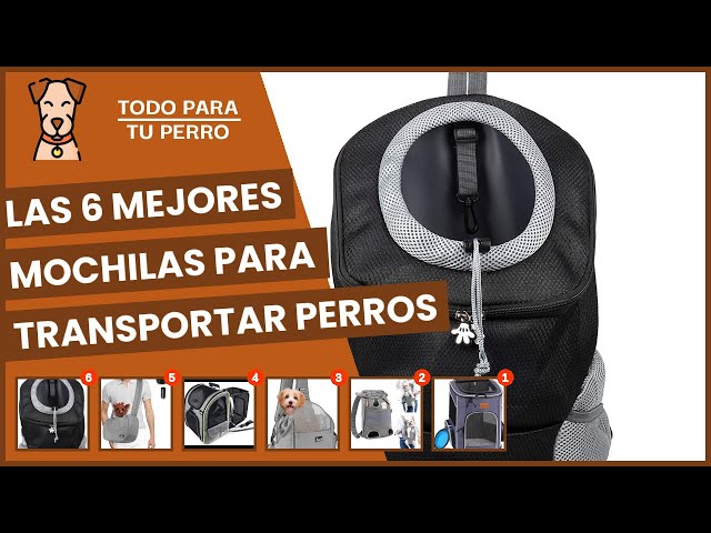Vídeo relacionado con Nidddiv Mochilas Classic, mochila transparente resistente con bolsillo transparente para libros con opciones de color para estadios deportivos escolares y así sucesivamente. Mochilas para perros