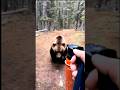 Shocking Bear Attack Caught On Camera Shocking Closecall Bear