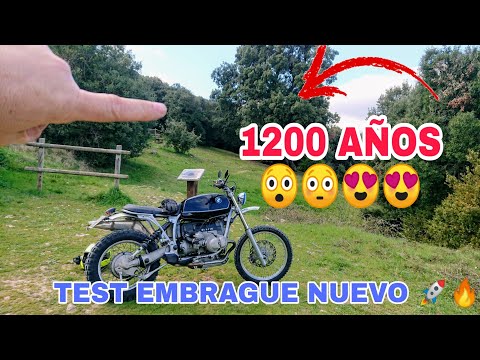 ENCUENTRO ÁRBOL con 1200 AÑOS😲!! Prueba embrague BMW R100 a tope!!🚀🔥