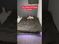 The Three Steps Of Falling Asleep #Shorts