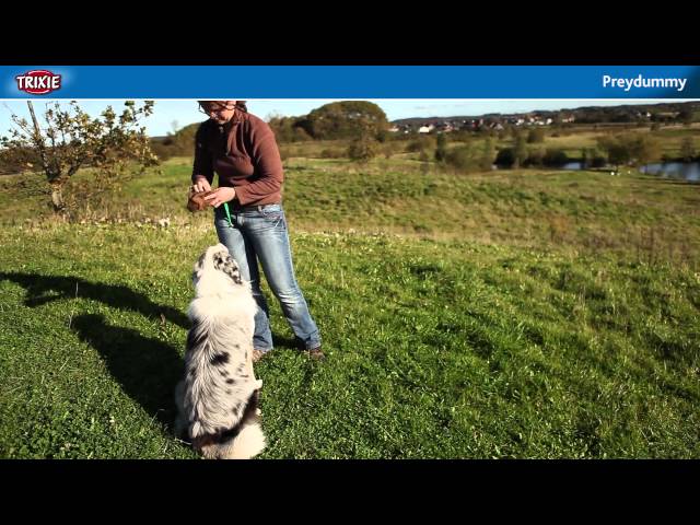 Vidéo teaser pour TRIXIE - Dog Activity "Preydummy"