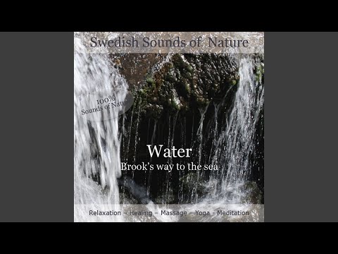 Swedish Sounds of Nature - Water - Track 1 Part 1
