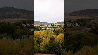 Fall in Tasmania hits different #australia #tasmania #hobart #fall