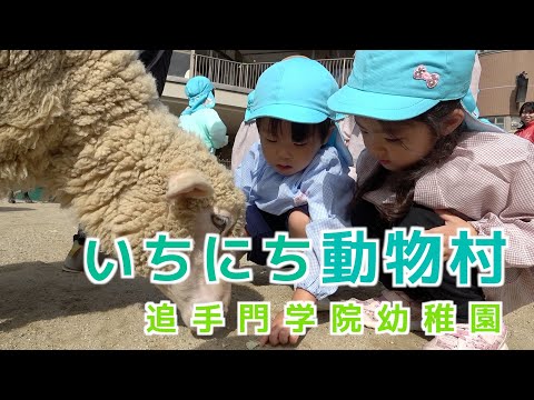情報学科 【追手門学院幼稚園】いちにち動物村〜園庭に動物たちがやってきた！（幼保連携型認定こども園 追手門学院幼稚園）