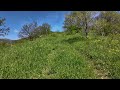 Enya - Flora's Secret (Extended) 4K