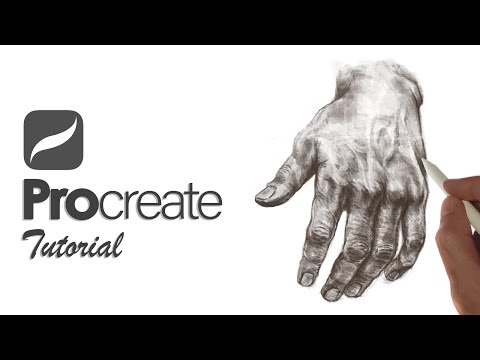 This is How I Draw Realistic Hands in Procreate