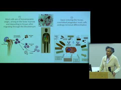 "Mast Cell Activation" - Anne Maitland, MD, PhD