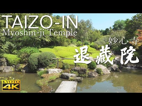 download lagu mp3 mp4 Taizo In, download mp3 Taizo In free downloadn, video klip Taizo In