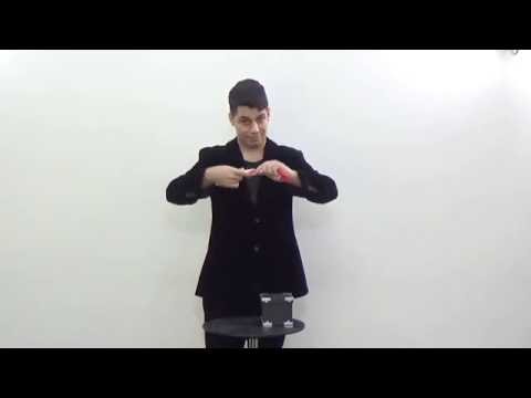 Tora Dice and Silk ( zebra) (Available in 2 Models)- by Tora Magic Company