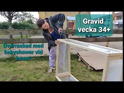 Veckovlogg gravid vecka 34+