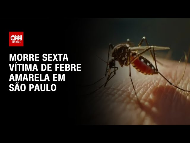 Morre sexta vítima de febre amarela em São Paulo | CNN NOVO DIA