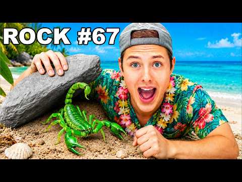 I Flipped 100 Rocks on a TROPICAL ISLAND, Here's what I Found..