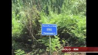 Download lagu Rimpinguiamo le Scorte! mp3