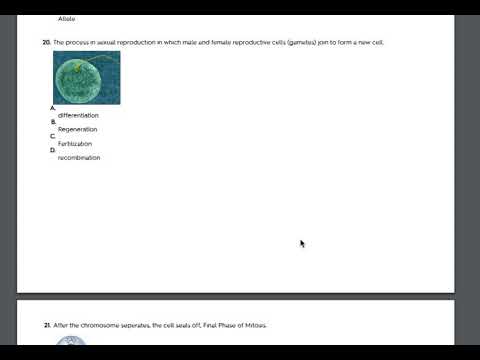 Reproduction Quizlet Test READ