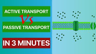 Active transport vs Passive transport in just 3 minutes