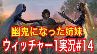 【ウィッチャー1】｢#14」ウィッチャーオタクの私がさくっとプレイ実況【初代The witcher】
